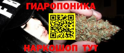 PSILOCYBIN Рузаевка