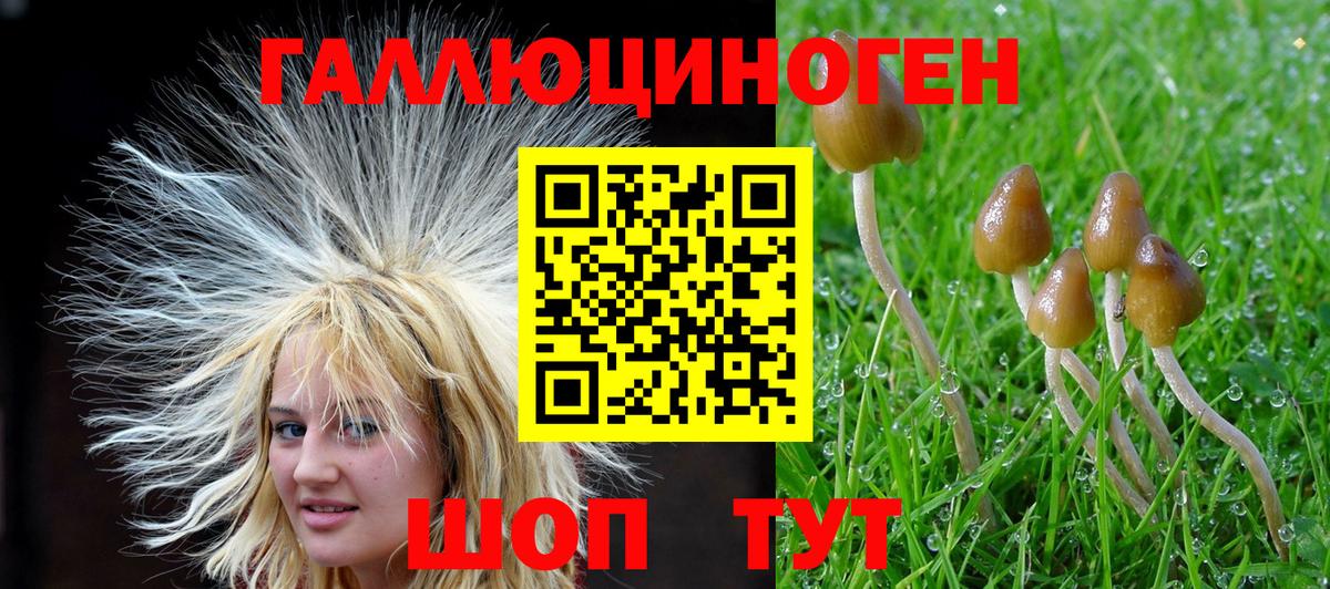 Псилоцибиновые грибы Psilocybine cubensis  Галлюциногенные грибы MAGIC MUSHROOMS  Артёмовский  Вход с VPN 