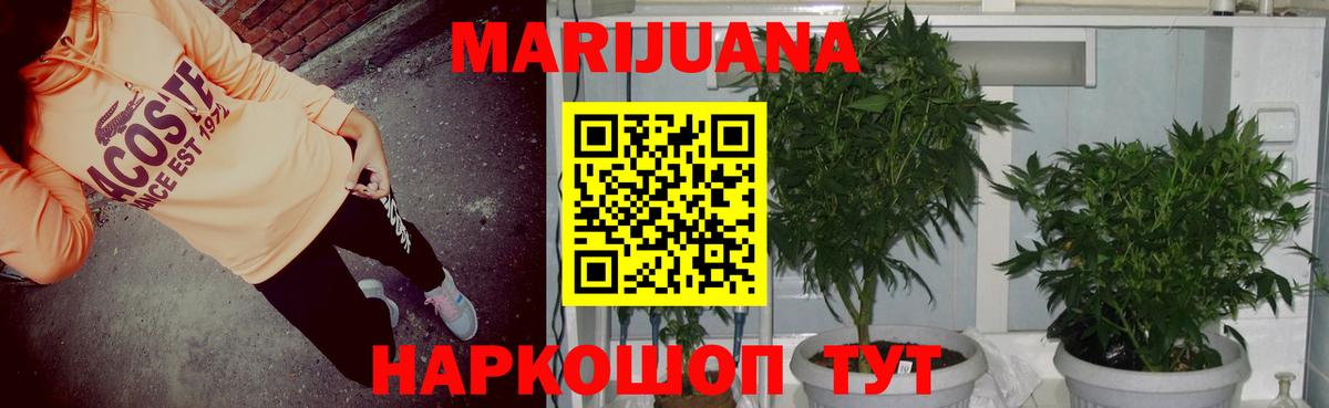 Шишки марихуана Bruce Banner Артёмовский